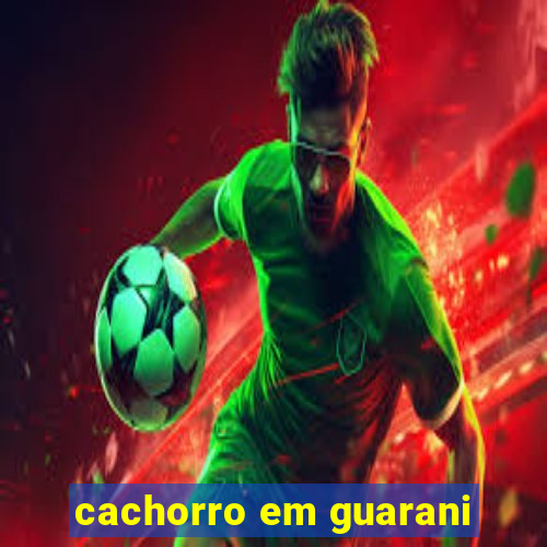 cachorro em guarani